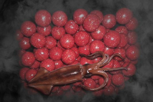 Squid 🦑 Feeding Boilies (freezer) 1KG