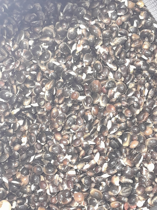 Hemp seed 1KG (uncooked)