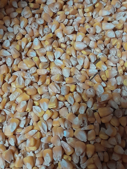 Yellow Maize 1KG