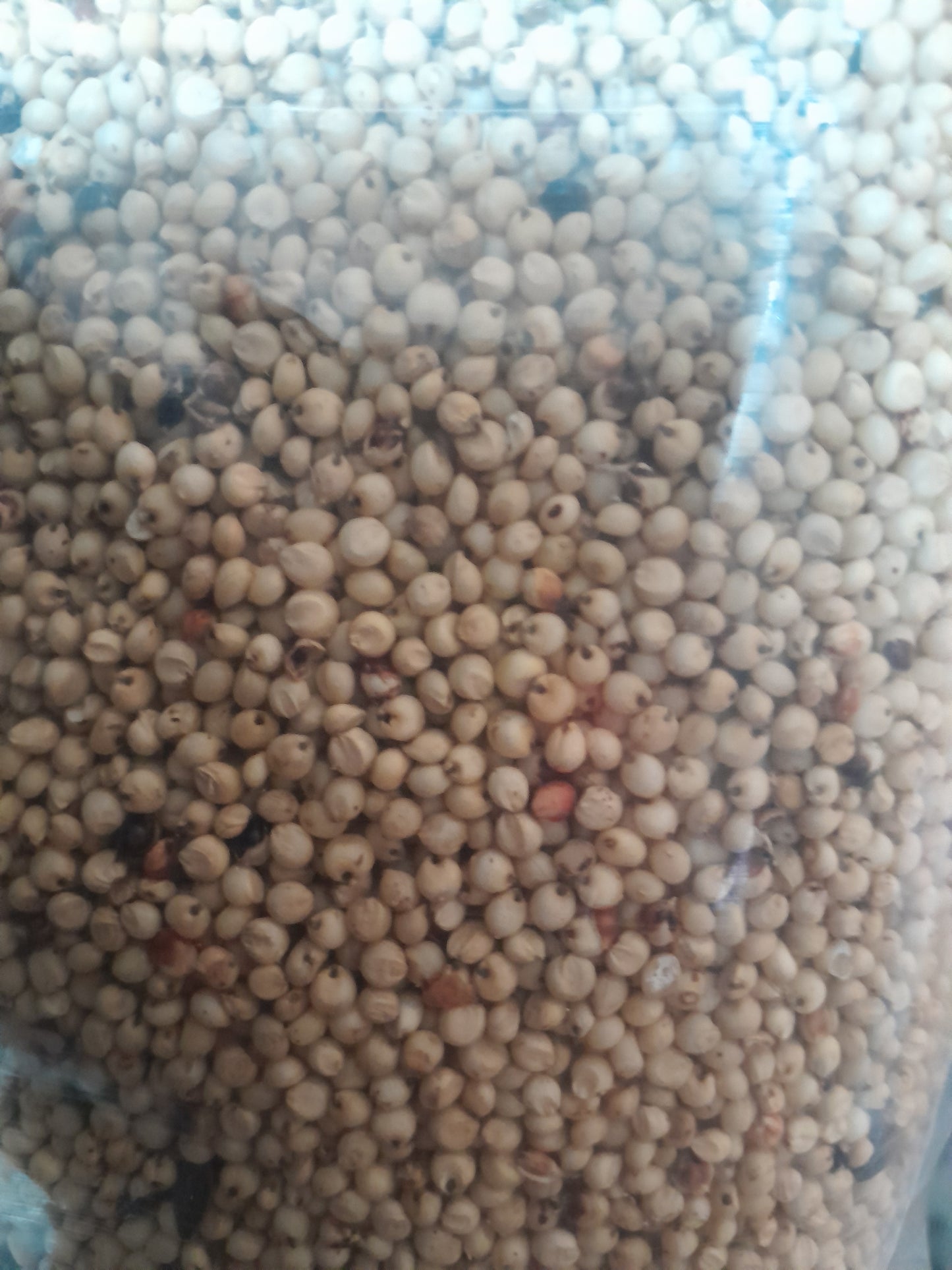 White Sorghum 1KG